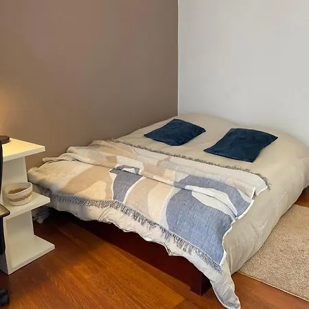 Miroir-arrivee Autonome-animal Ok Apartment