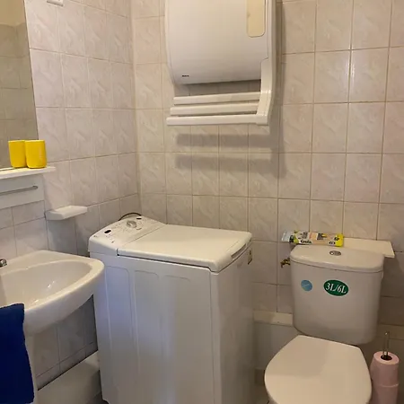 Miroir-arrivee Autonome-animal Ok Rouen