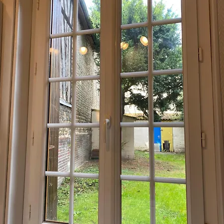 Miroir-arrivee Autonome-animal Ok Apartment