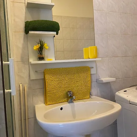 Miroir-arrivee Autonome-animal Ok Apartment Rouen