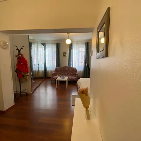 Miroir-arrivee Autonome-animal Ok * Rouen