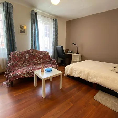 Miroir-arrivee Autonome-animal Ok Apartment Rouen