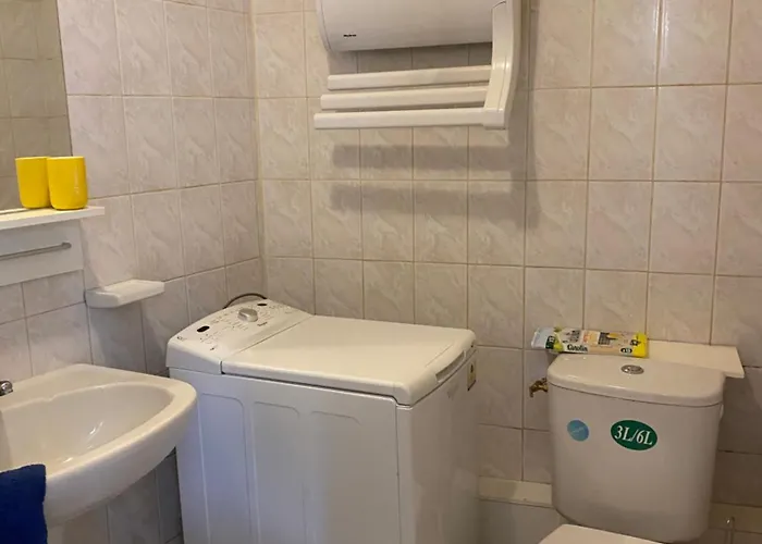 Miroir-arrivee Autonome-animal Ok Ρουέν