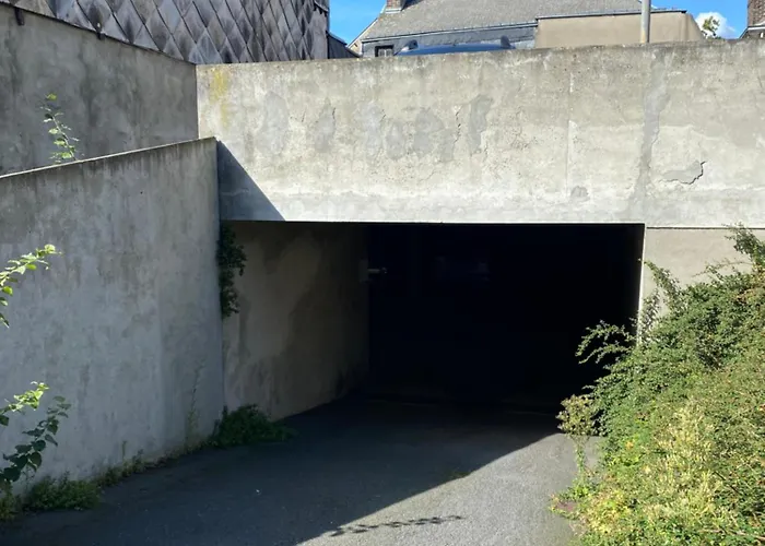 Miroir-arrivee Autonome-animal Ok *