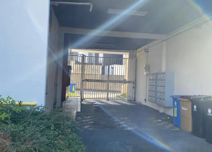 Miroir-arrivee Autonome-animal Ok Ρουέν