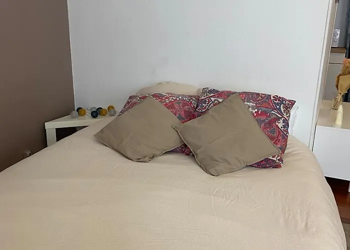 Miroir-arrivee Autonome-animal Ok *