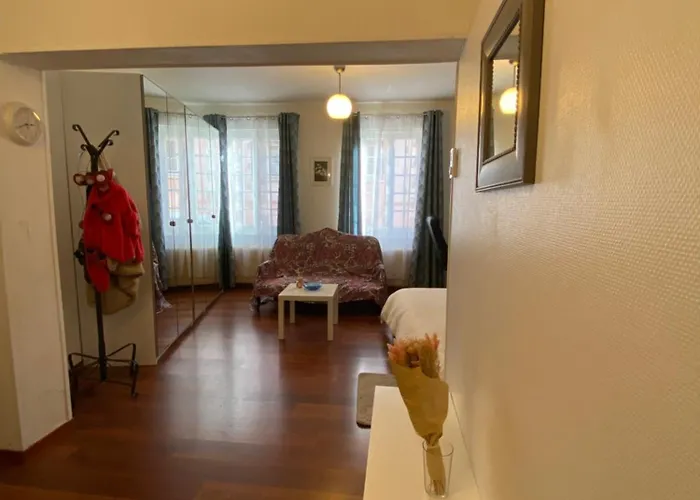 Miroir-arrivee Autonome-animal Ok * Ρουέν