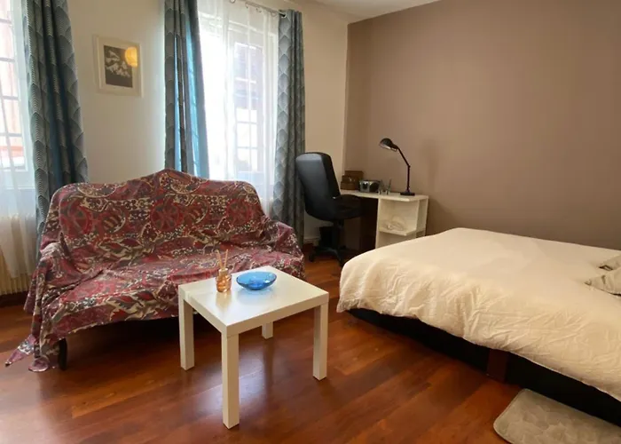 Miroir-arrivee Autonome-animal Ok Διαμέρισμα Ρουέν