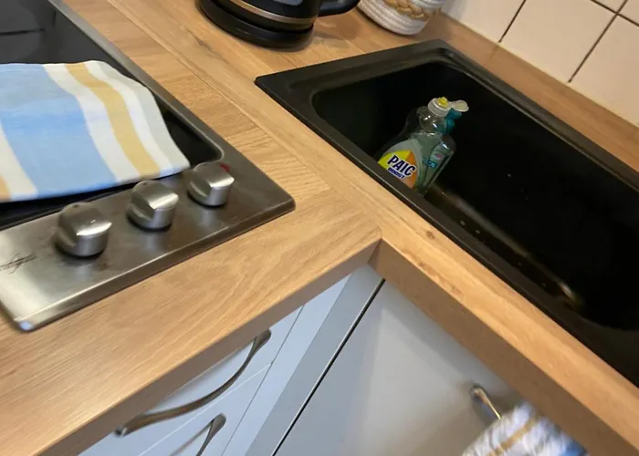 Miroir-arrivee Autonome-animal Ok Διαμέρισμα *